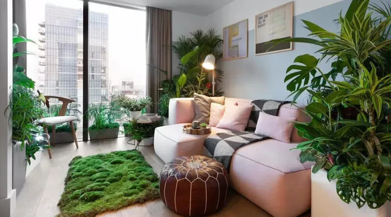 Benefits of incorporating Plants into Home Decor