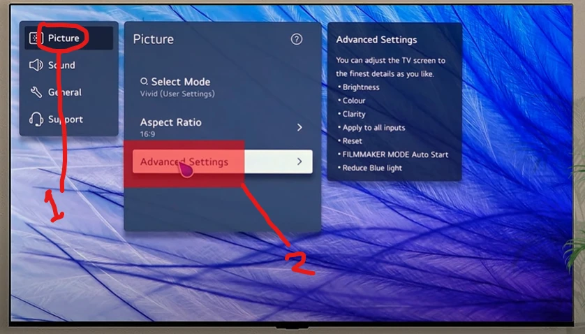 Go to Picture and then select Advanced Settings.