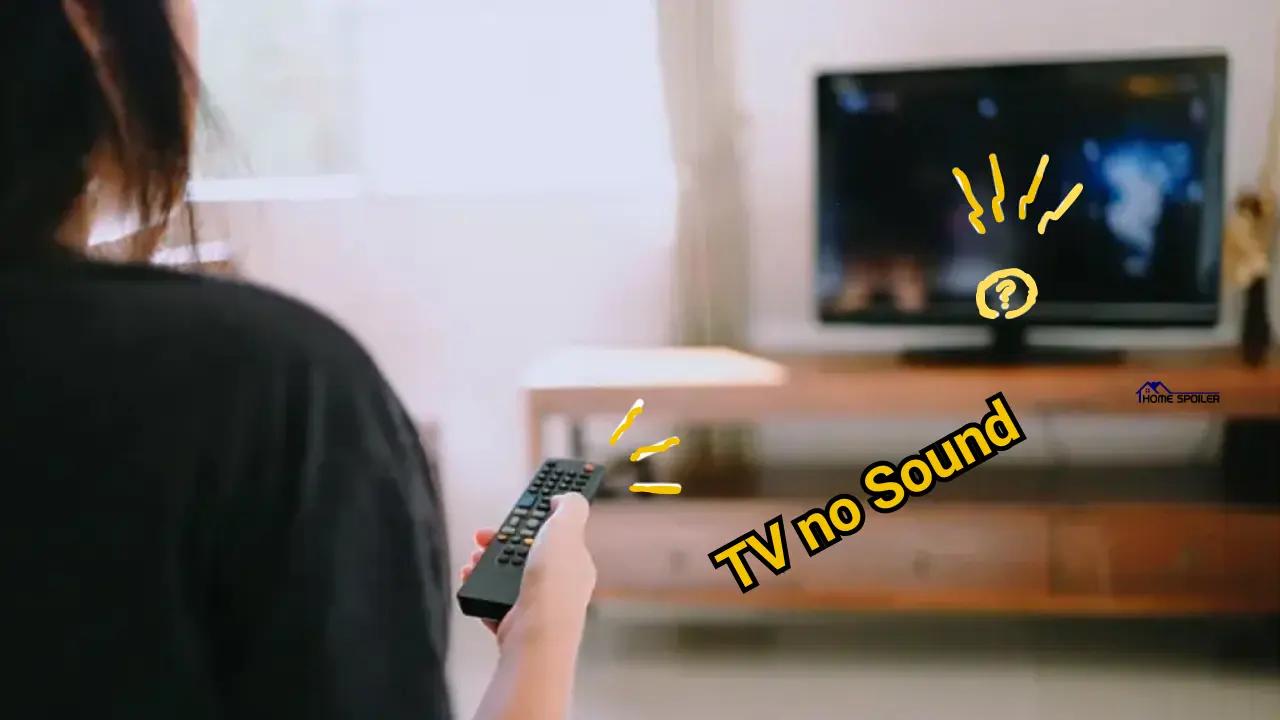 tv has no sound