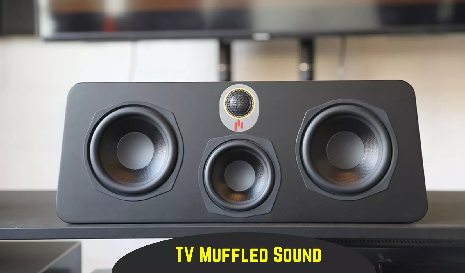 How To Fix Muffled Sound on TV