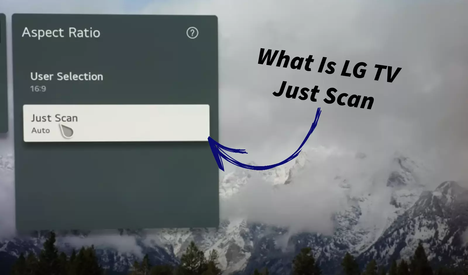 LG TV Just Scan