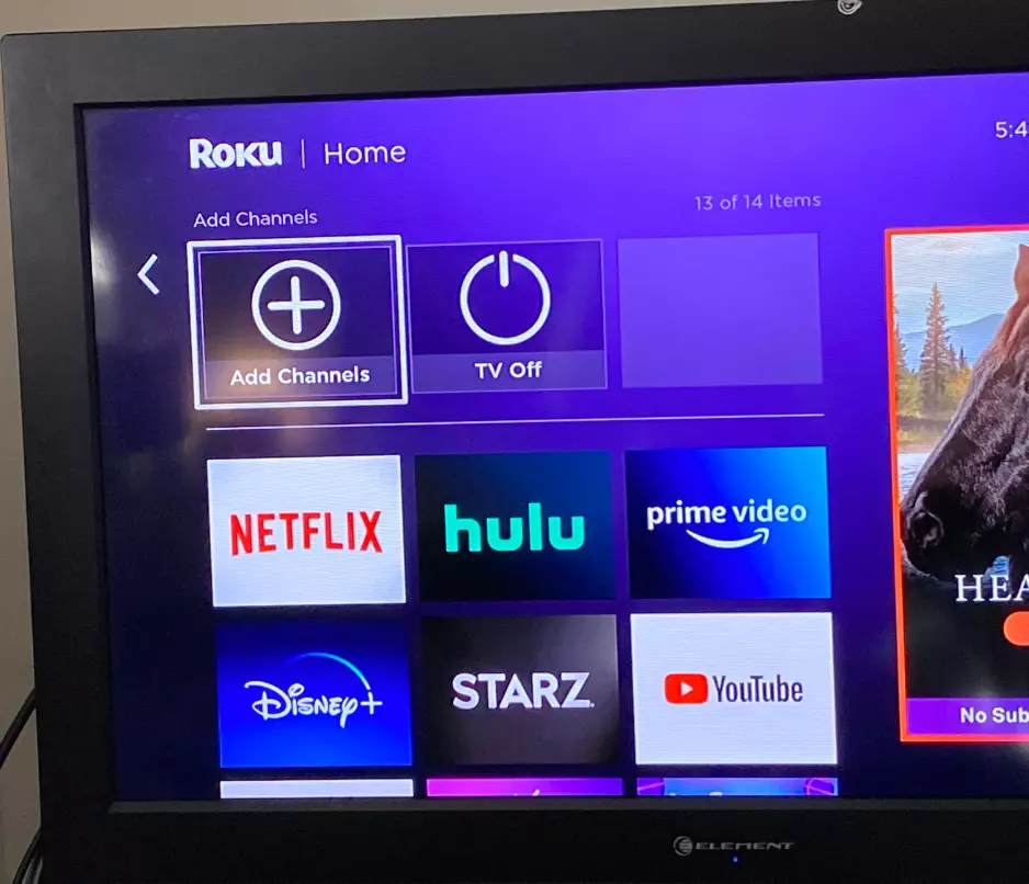 introduction of roku and amazon fire tv